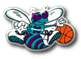Charlotte Hornets Basket