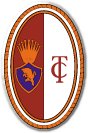 FC Torino Fotboll