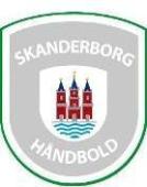 Skanderborg Handboll