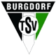 TSV Burgdorf Handboll