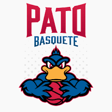 Pato Basquete Basket