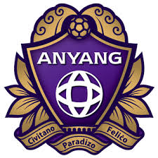 FC Anyang Fotboll