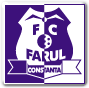 Farul Constanta Fotboll