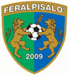FeralpiSalo Fotboll