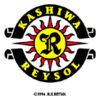 Kashiwa Reysol Fotboll