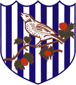 West Bromwich Albion Fotboll