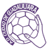 BM Guadalajara Handboll