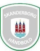 Skanderborg Handboll